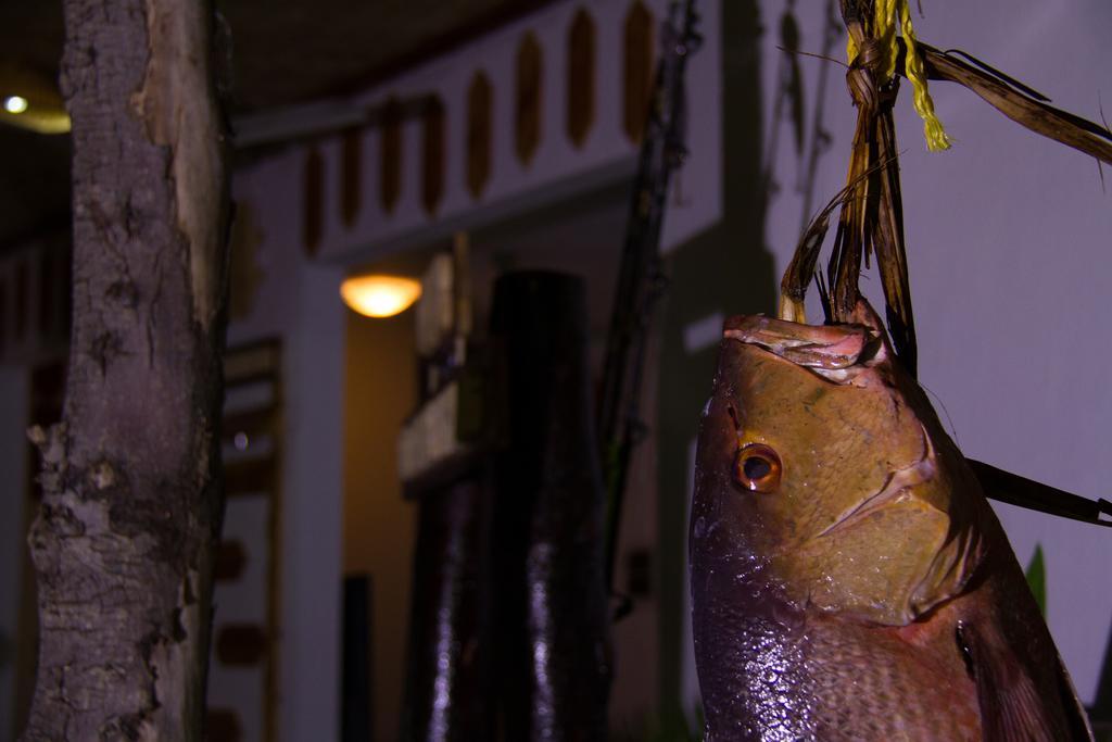 Alvi Star Inn Thulhaadhoo Eksteriør bilde